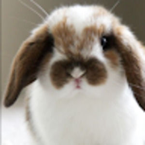 Meet your Posher, Claire